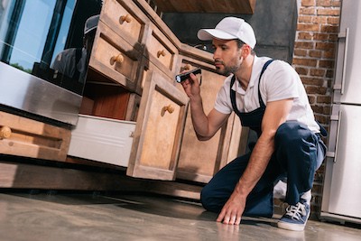 DIY Pest Control Dangers and When to Call a Professional