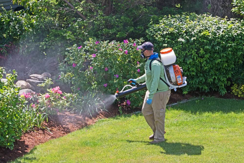 Mosquito Barrier Sprays